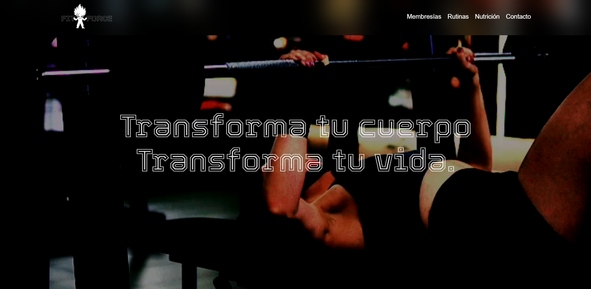 Proyecto 3