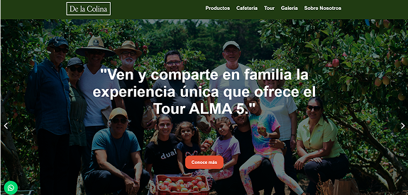 Proyecto 1